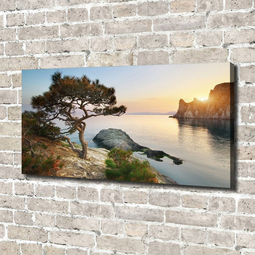 Foto obraz na płótnie Drzewo nad morzem