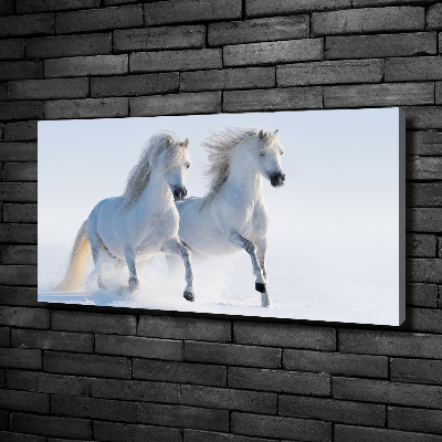 Foto obraz na płótnie Dwa konie w śniegu