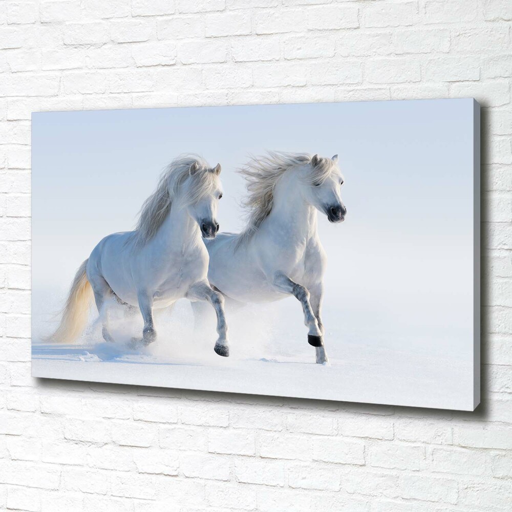 Foto obraz na płótnie Dwa konie w śniegu