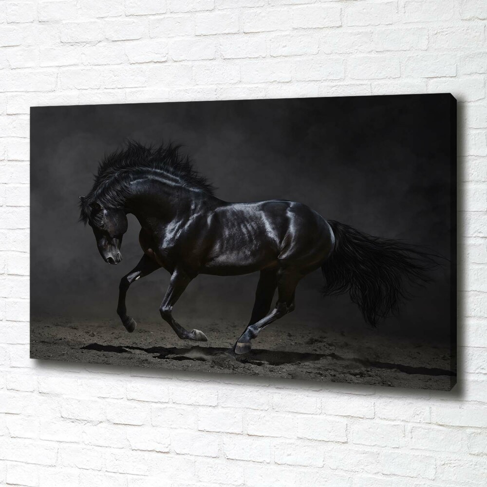 Foto obraz canvas Czarny koń