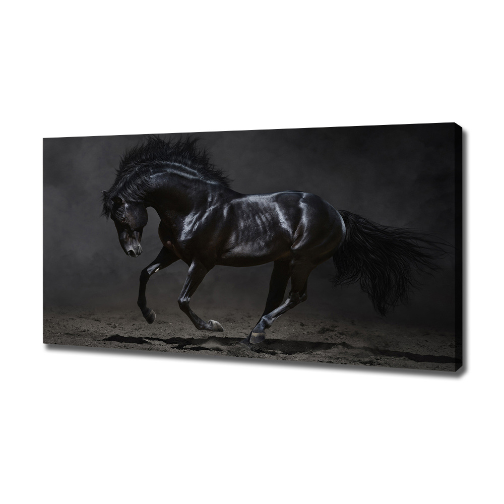 Foto obraz canvas Czarny koń