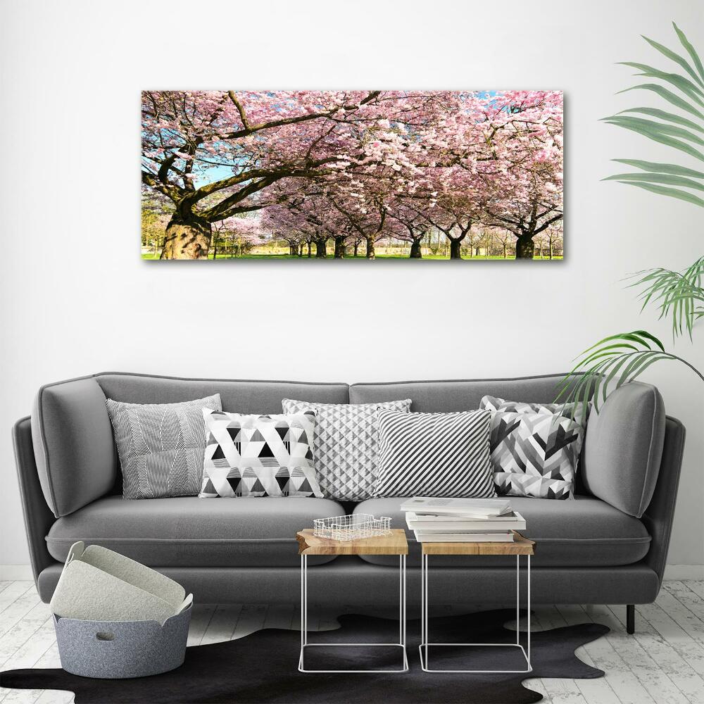 Duży Foto obraz na płótnie Drzewa wiśni