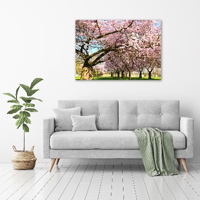 Duży Foto obraz na płótnie Drzewa wiśni