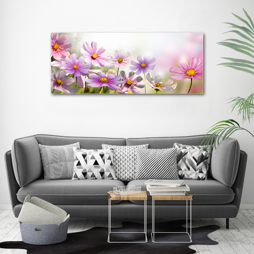 Foto obraz na płótnie Kwiaty na łące