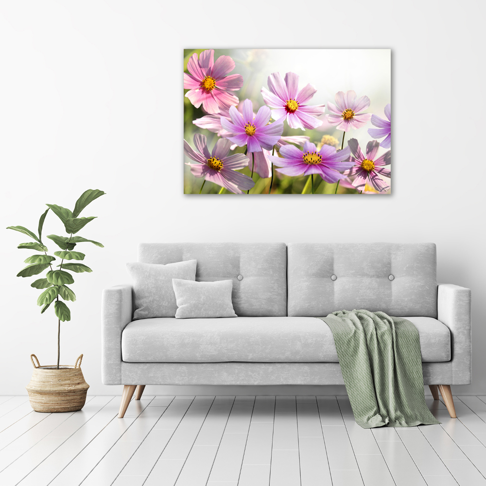 Foto obraz na płótnie Kwiaty na łące