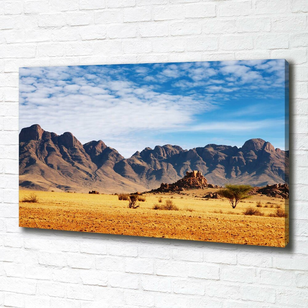 Foto obraz na płótnie Skały w Namibii