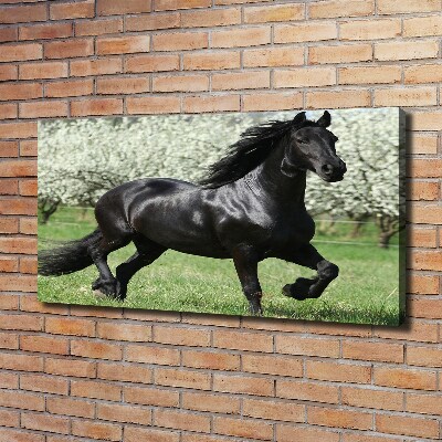 Foto obraz na płótnie Czarny koń kwiaty