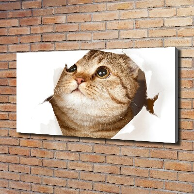 Nowoczesny obraz na płótnie zdjęcie Kot