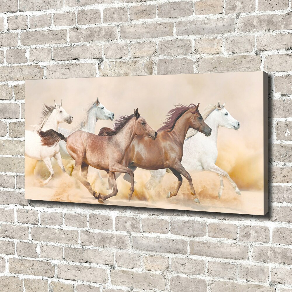 Foto obraz na płótnie Konie w galopie