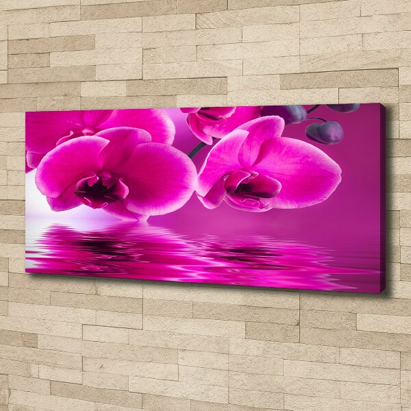 Foto obraz canvas Orchidea