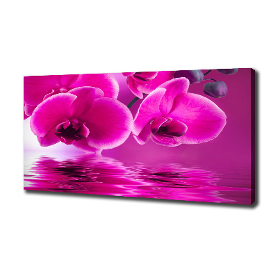 Foto obraz canvas Orchidea