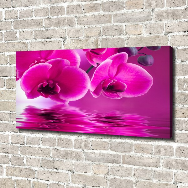 Foto obraz canvas Orchidea