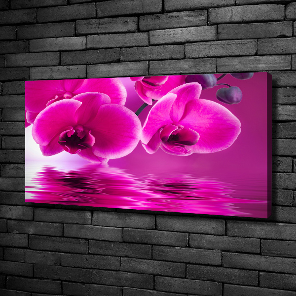 Foto obraz canvas Orchidea