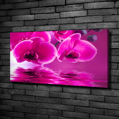 Foto obraz canvas Orchidea