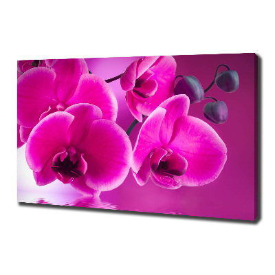 Foto obraz canvas Orchidea