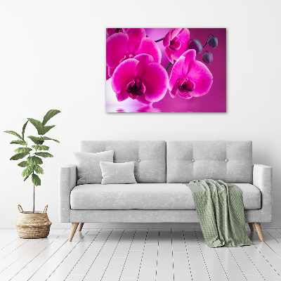 Foto obraz canvas Orchidea