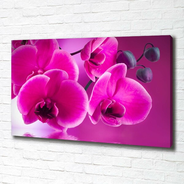 Foto obraz canvas Orchidea