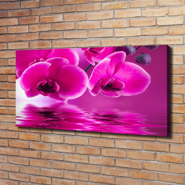 Foto obraz canvas Orchidea