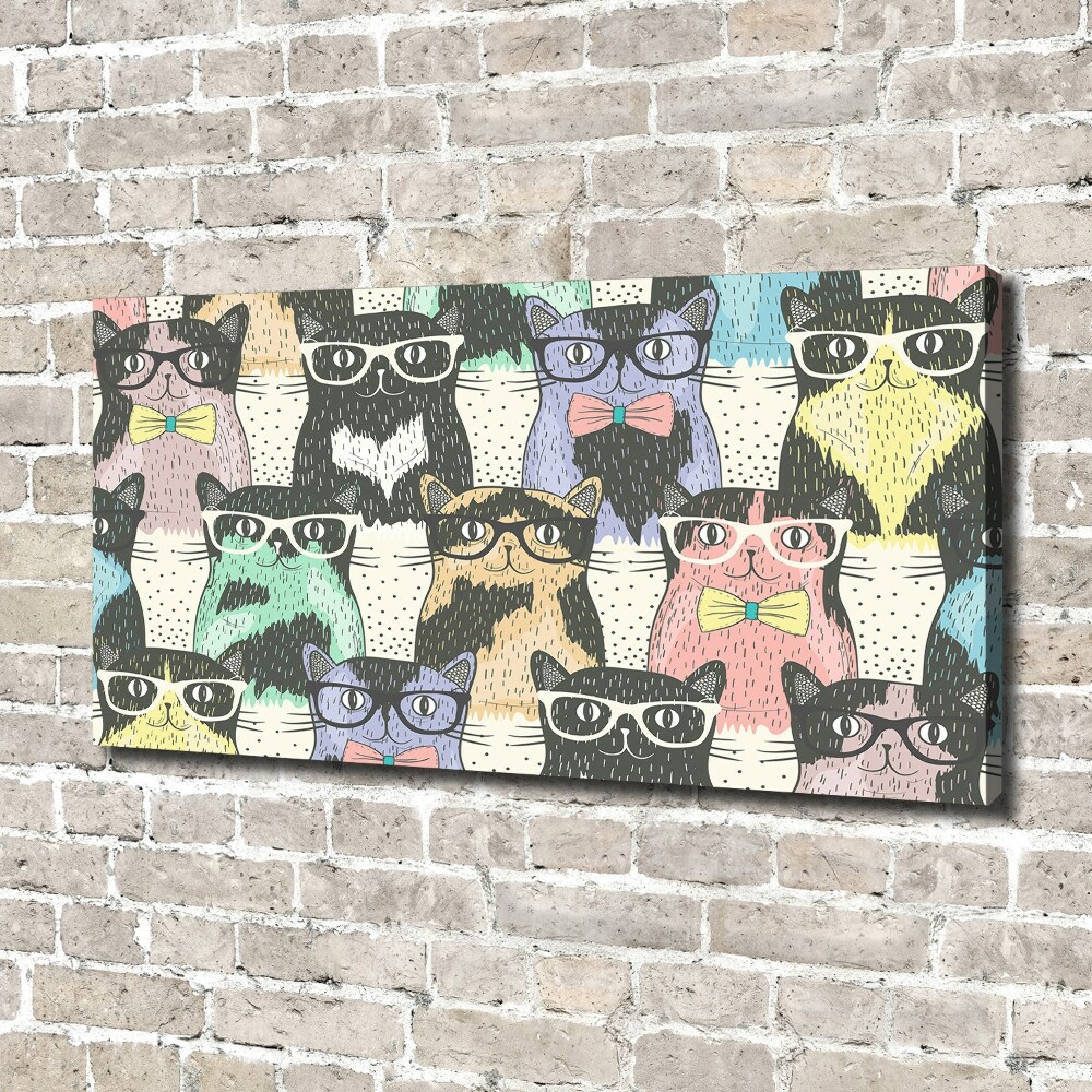 Foto obraz na płótnie Koty w okularach