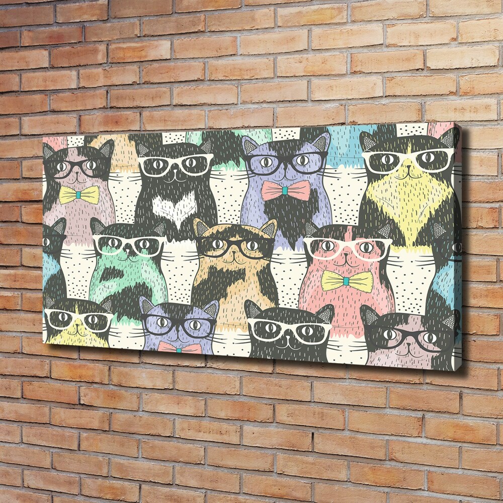 Foto obraz na płótnie Koty w okularach