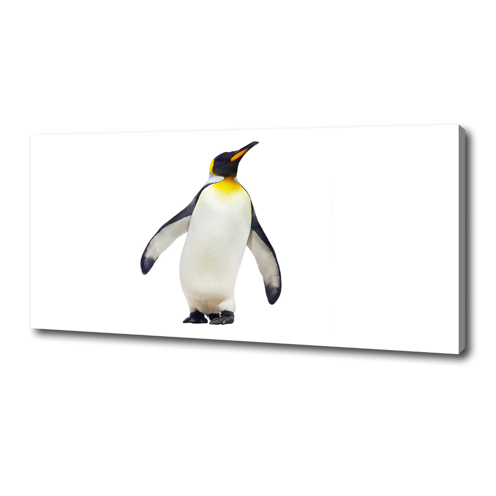 Foto obraz canvas Pingwin