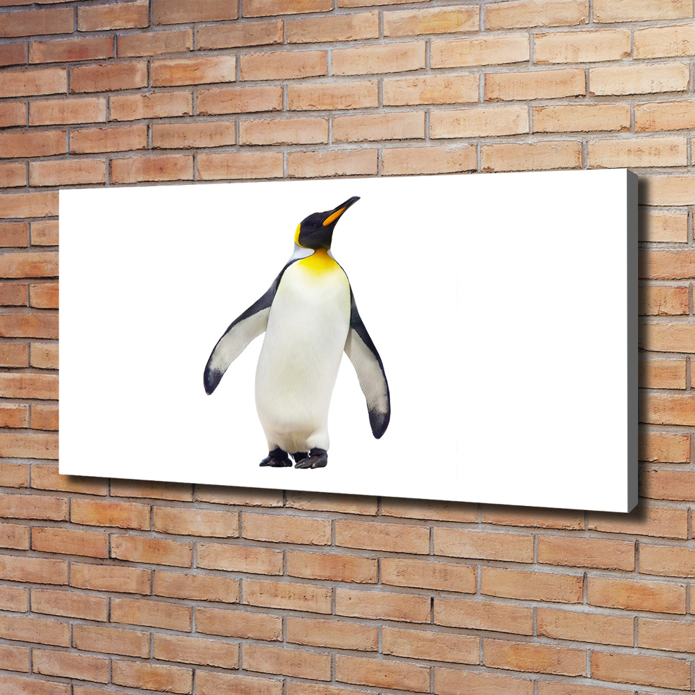Foto obraz canvas Pingwin