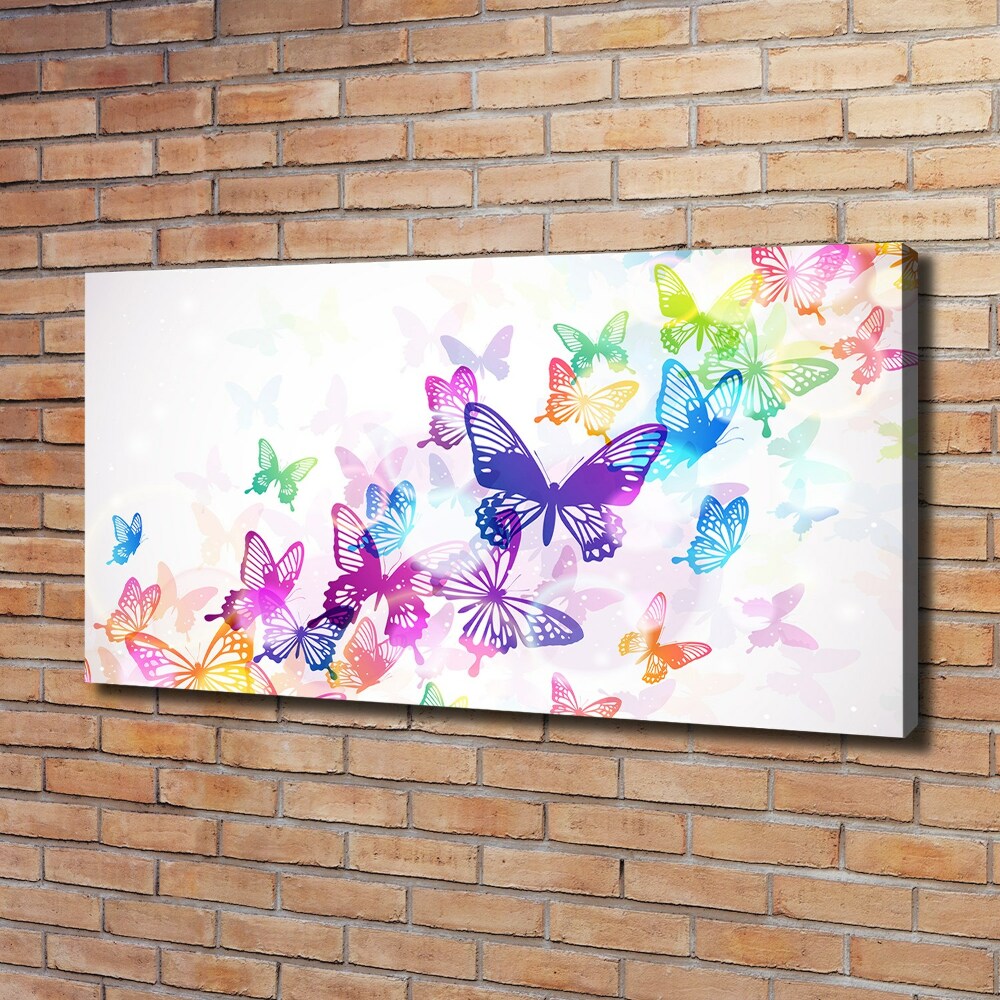 Foto obraz na płótnie Kolorowe motyle
