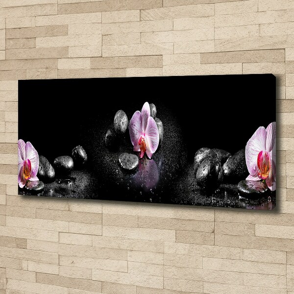 Foto obraz canvas Orchidea