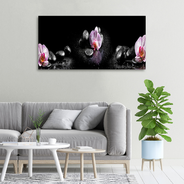 Foto obraz canvas Orchidea