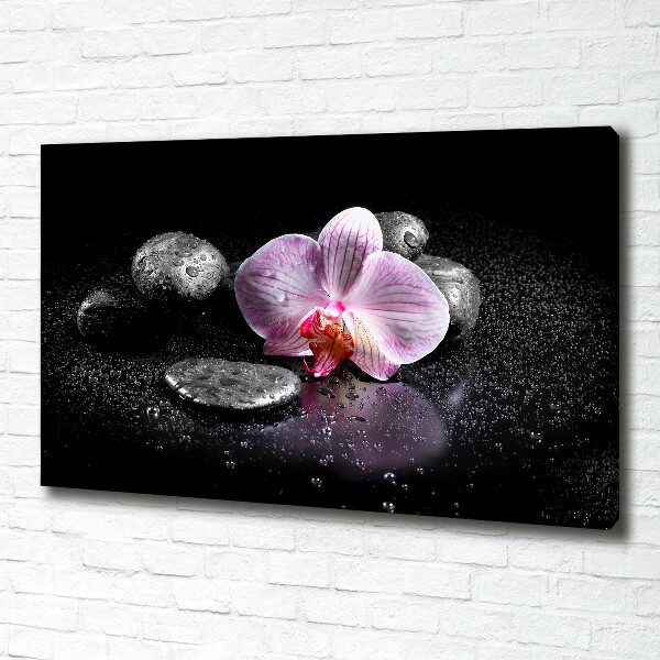 Foto obraz canvas Orchidea