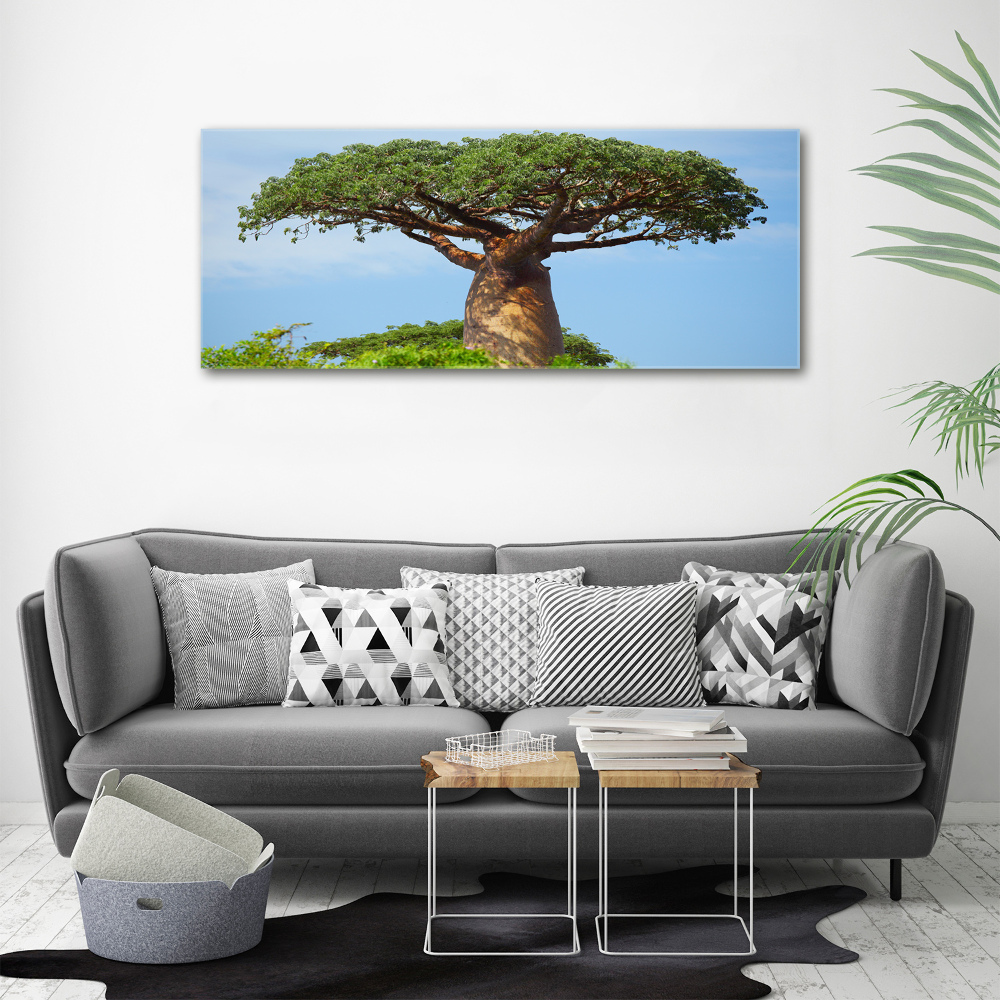 Duży foto obraz na ścianę canvas Baobab