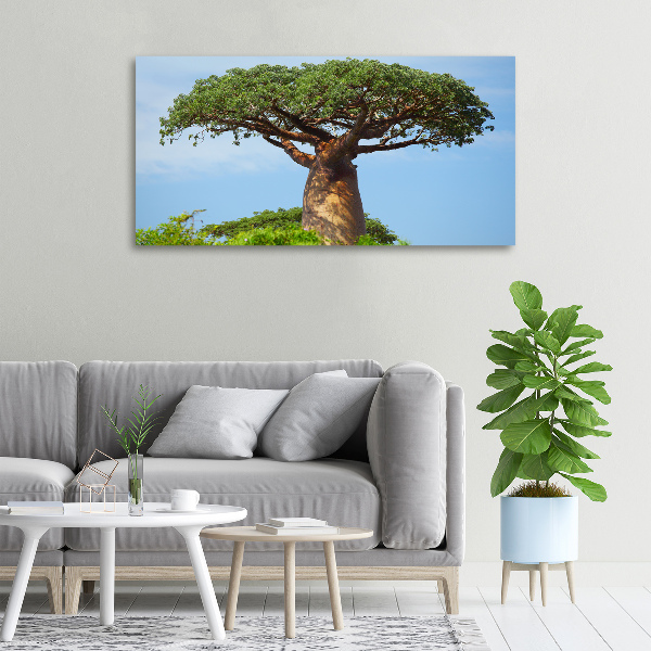 Duży foto obraz na ścianę canvas Baobab