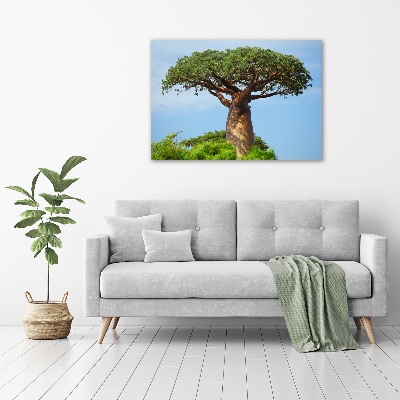 Duży foto obraz na ścianę canvas Baobab