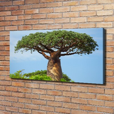 Duży foto obraz na ścianę canvas Baobab