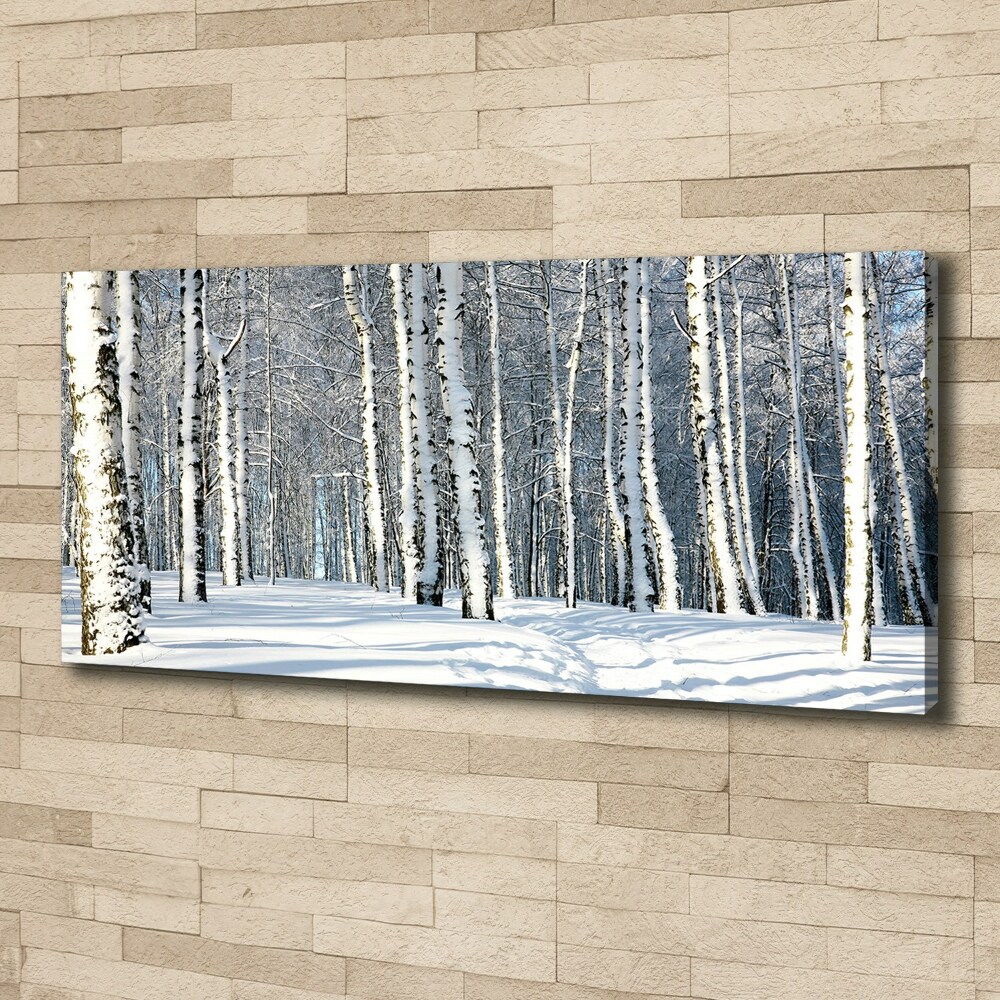 Foto obraz canvas Las zimą