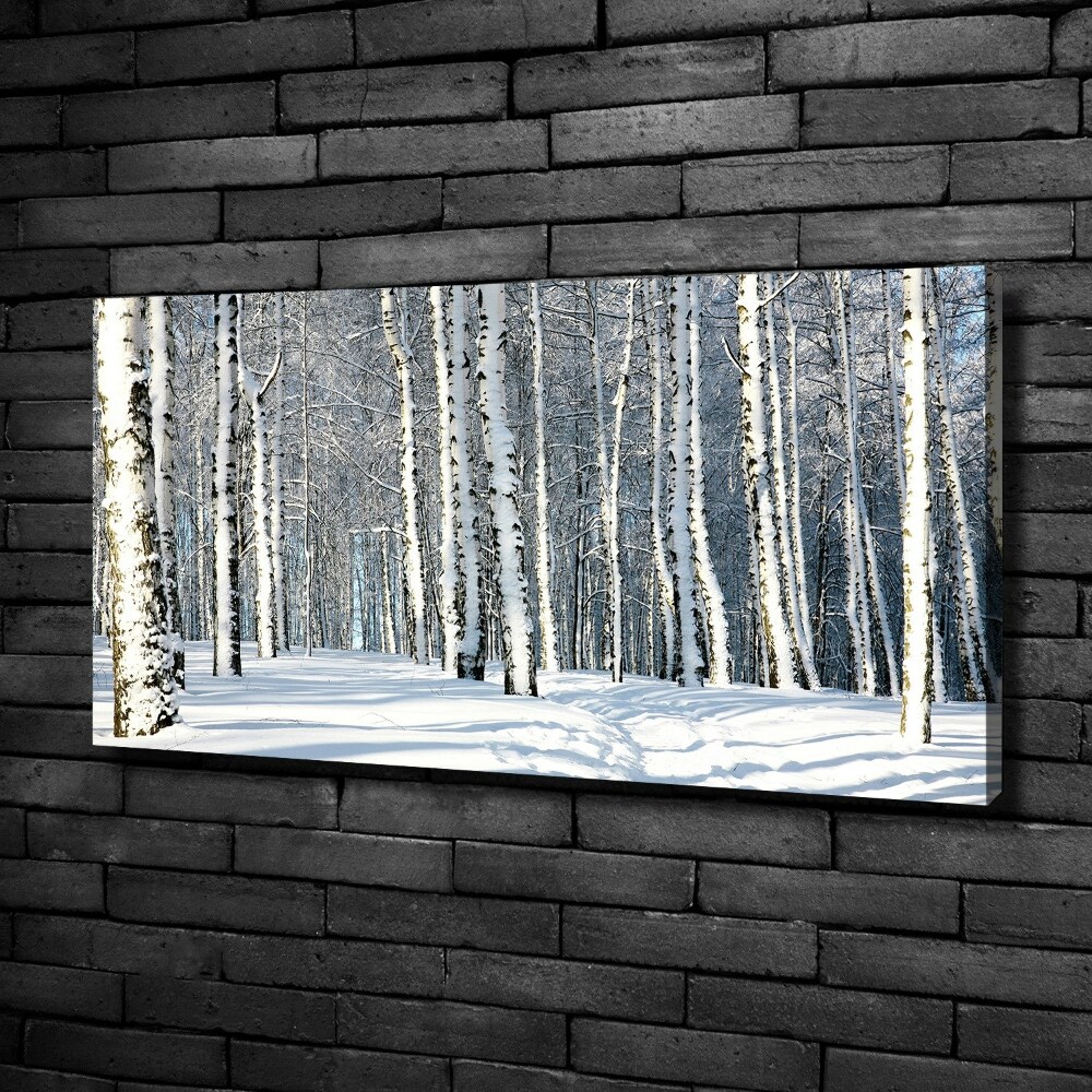 Foto obraz canvas Las zimą