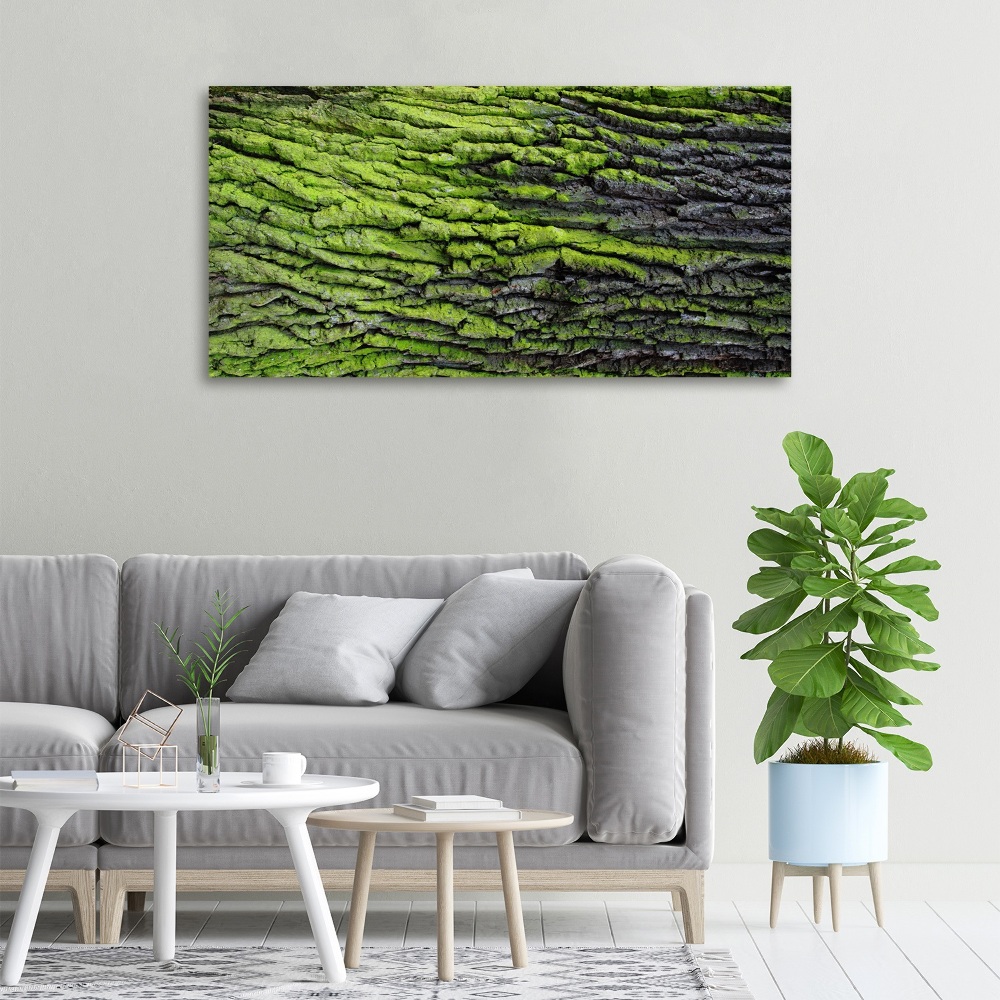 Foto obraz canvas Kora drzewa
