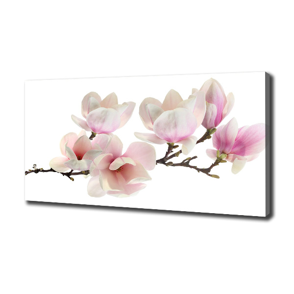 Foto obraz canvas Magnolia