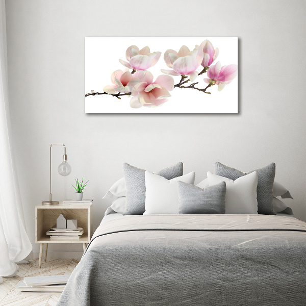 Foto obraz canvas Magnolia