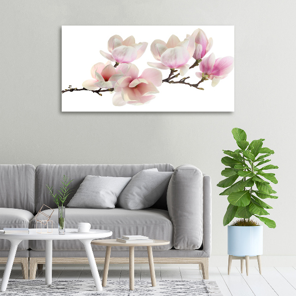 Foto obraz canvas Magnolia