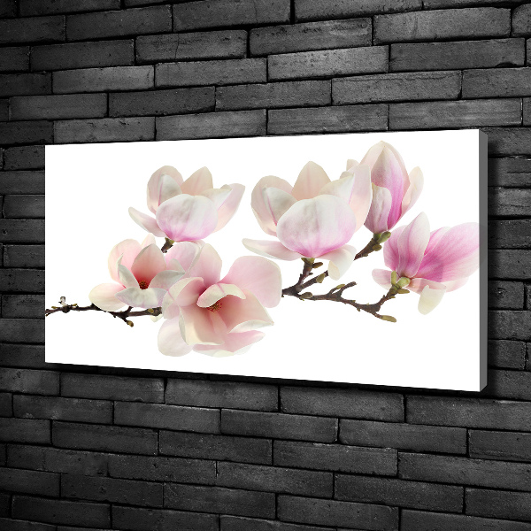 Foto obraz canvas Magnolia