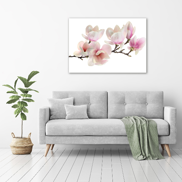 Foto obraz canvas Magnolia