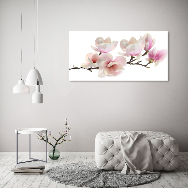 Foto obraz canvas Magnolia