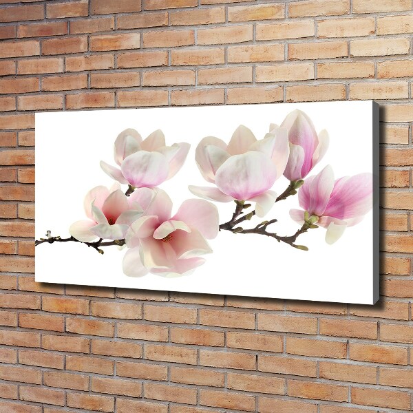 Foto obraz canvas Magnolia