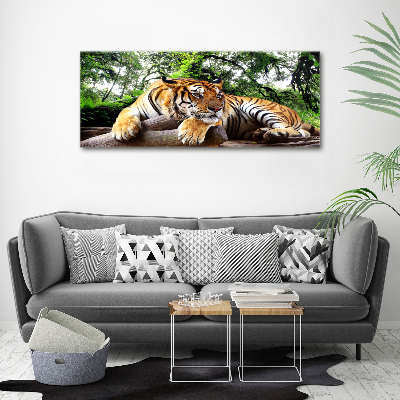 Foto obraz na płótnie Tygrys na skale