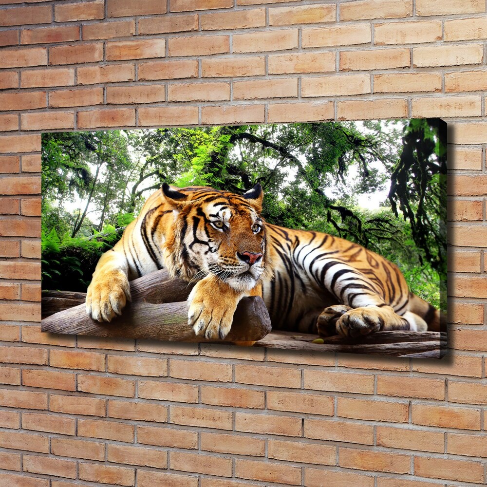 Foto obraz na płótnie Tygrys na skale