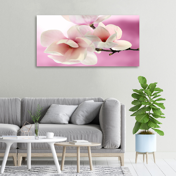 Foto obraz canvas Magnolia