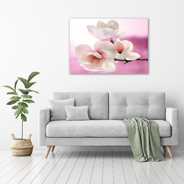 Foto obraz canvas Magnolia