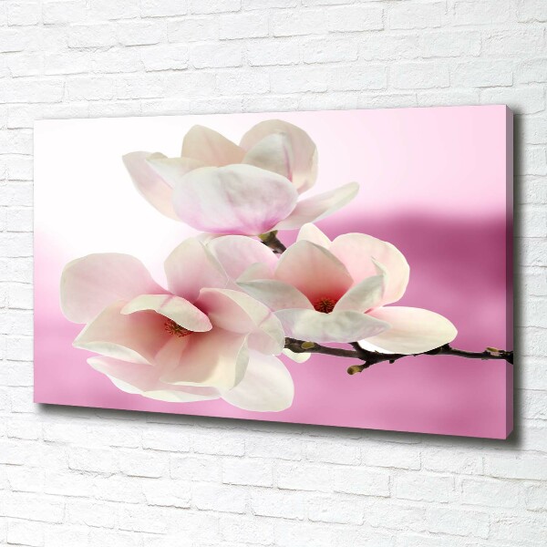 Foto obraz canvas Magnolia