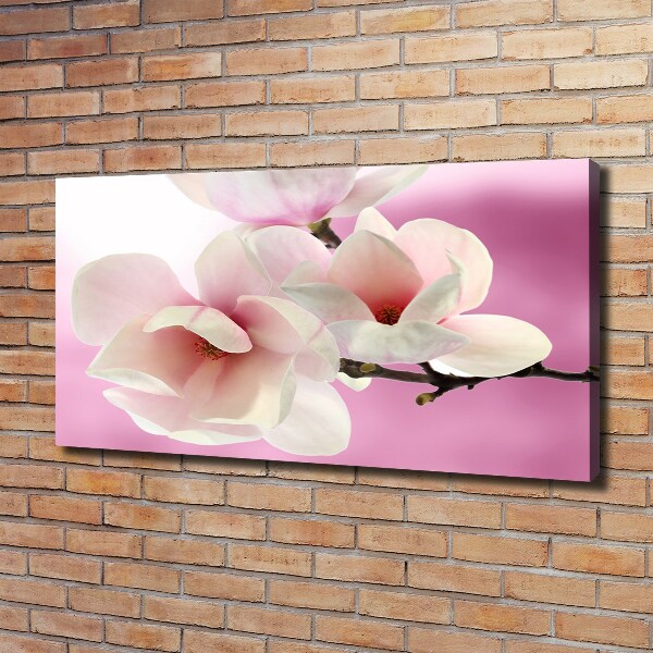 Foto obraz canvas Magnolia